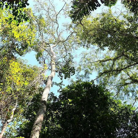 Misahualli Amazon Lodge Tena Exterior photo