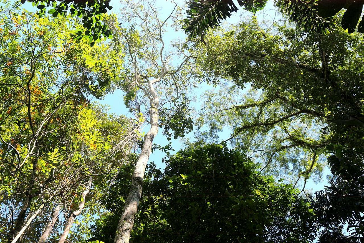 Misahualli Amazon Lodge Tena Exterior photo
